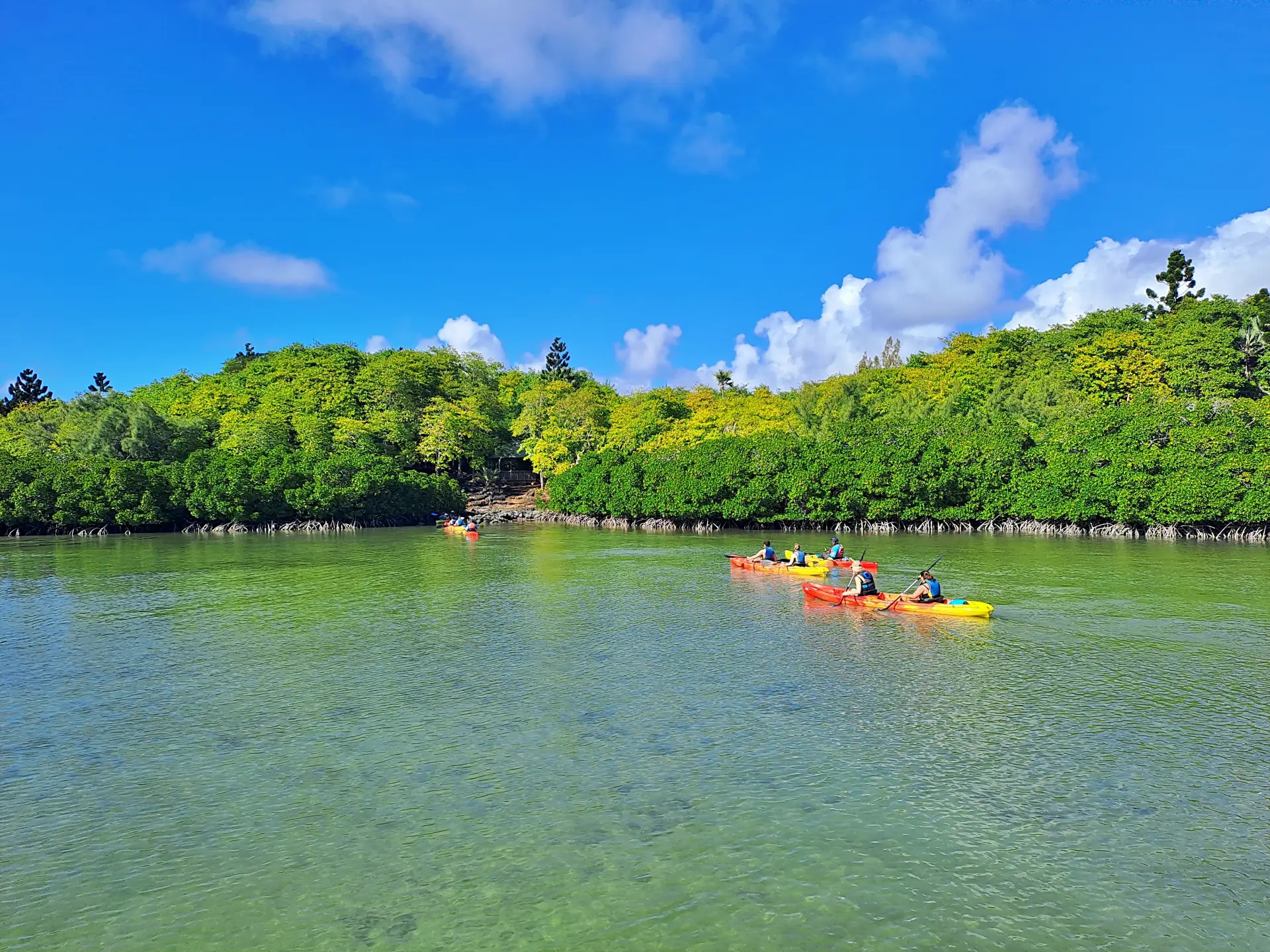 Sea Kayaking Ile D'Ambre thumbnail 3