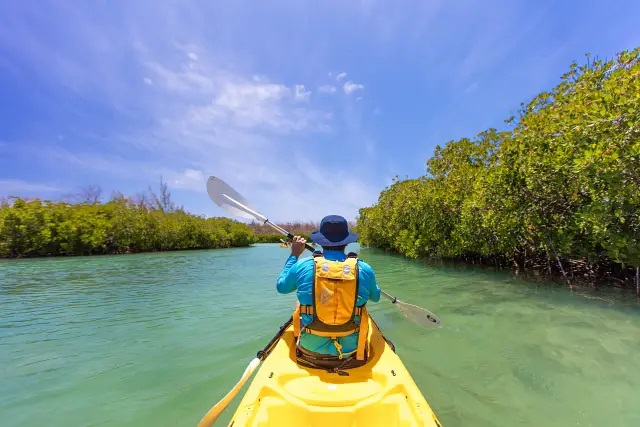 Sea Kayaking Ile D'Ambre thumbnail 2