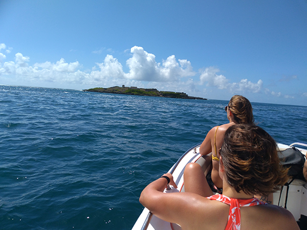Speed Boat Mauritius thumbnail 5